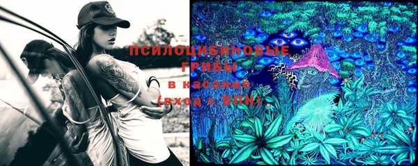бутик Бородино