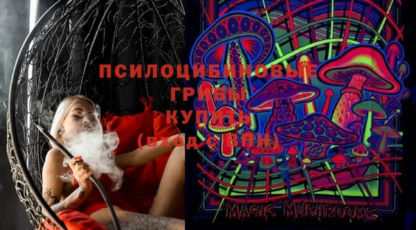 гашик Бронницы