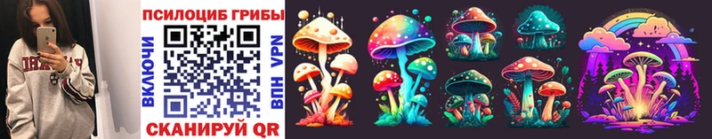 Псилоцибиновые грибы Cubensis Подольск